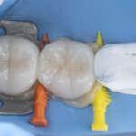DSC 1155